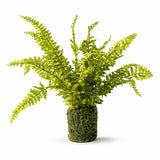 Artificial Fern with Moss-Look Base - 21 in - product photo 4
