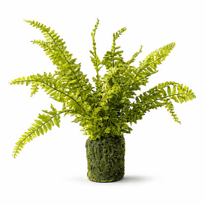 Artificial Fern with Moss-Look Base - 21 in - product photo 1
