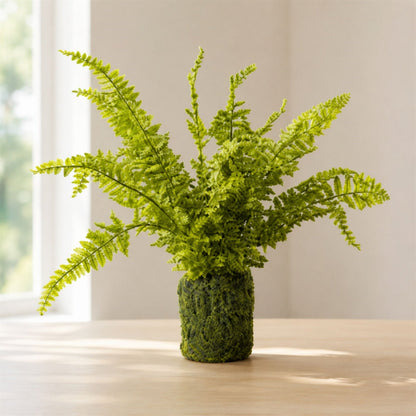 Artificial Fern with Moss-Look Base - 21 in - product photo 3