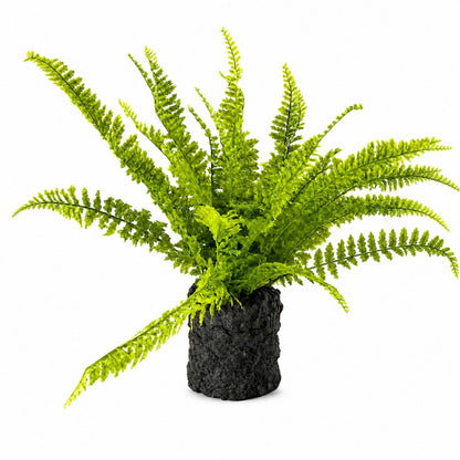 Artificial Fern with Moss-Look Base - 24 in - product photo 1