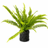 Artificial Fern with Moss-Look Base - 24 in - product photo 4