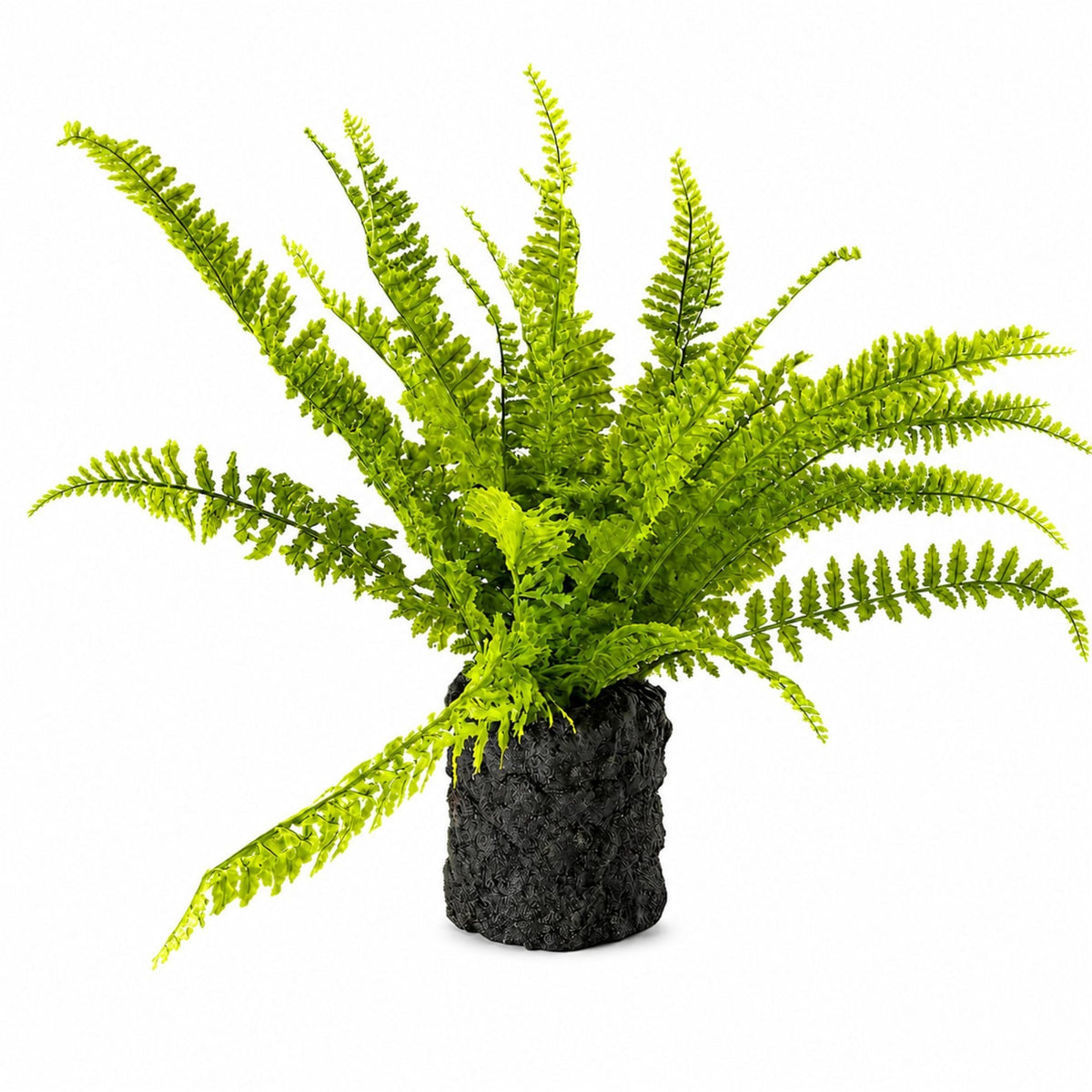 Artificial Fern with Moss-Look Base - 24 in - product photo 4