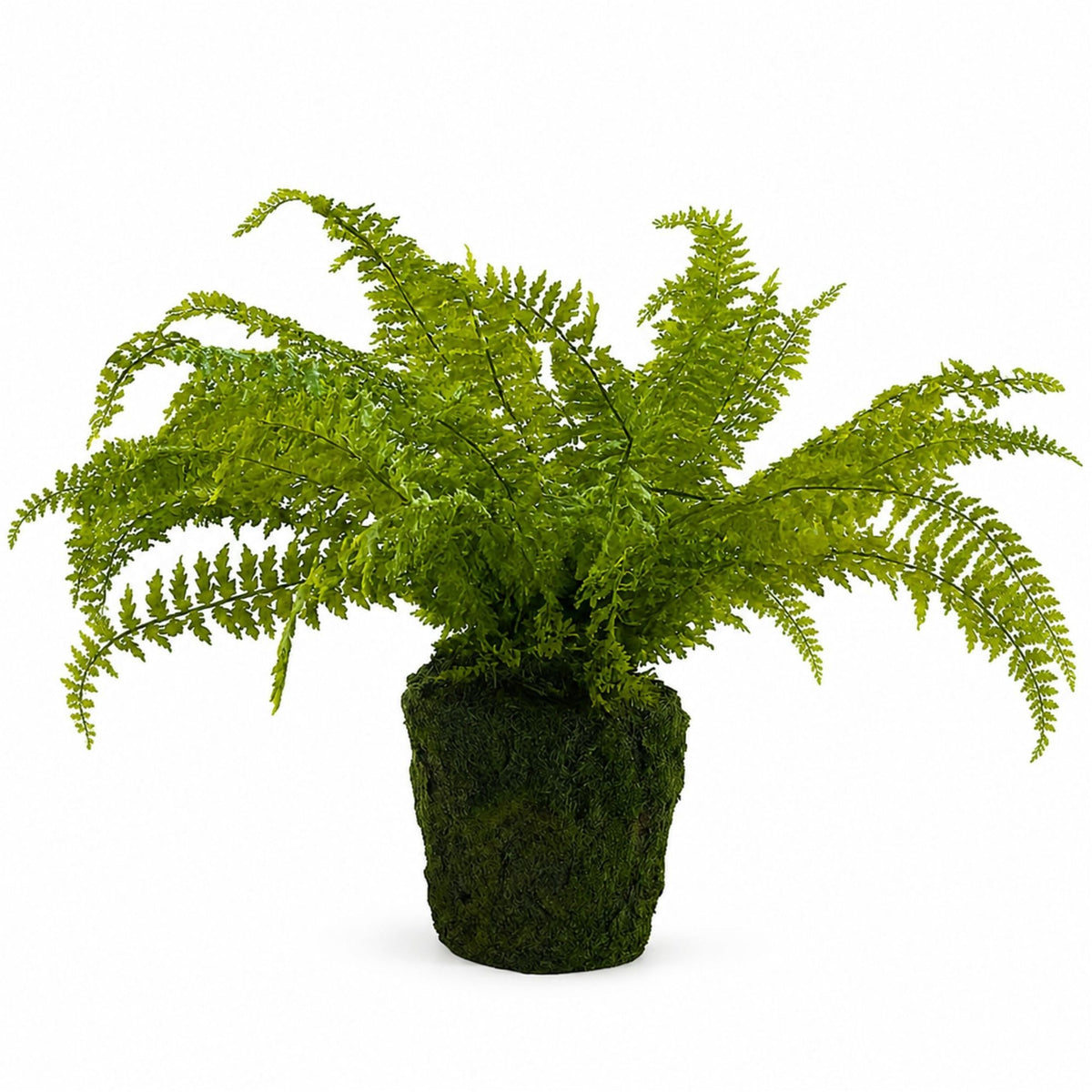 Artificial Fern with Moss-Look Base - 27 in - product photo 4