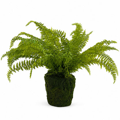 Artificial Fern with Moss-Look Base - 27 in - product photo 1